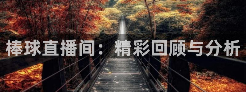 五星体育电视频道：棒球直播间：精彩回顾与分析